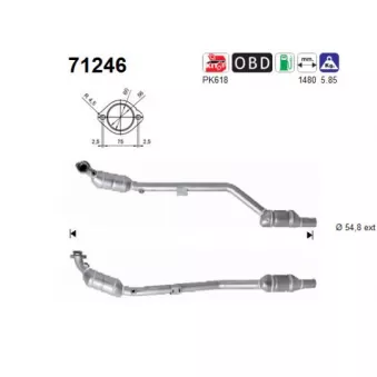 Catalyseur AS 71246