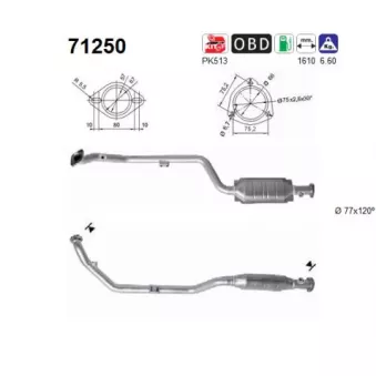 Catalyseur AS 71250