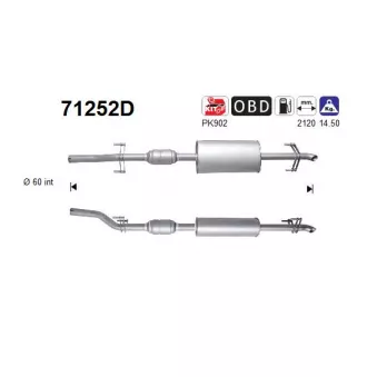 Catalyseur AS 71252D