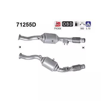 Catalyseur AS 71255D