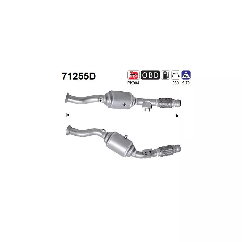 Catalyseur AS 71255D