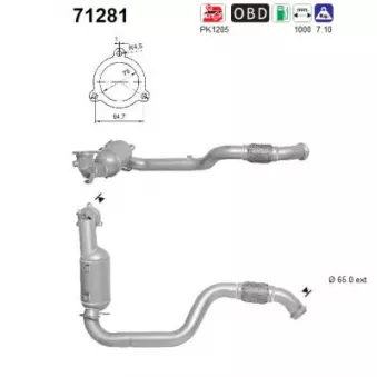 Catalyseur AS 71281