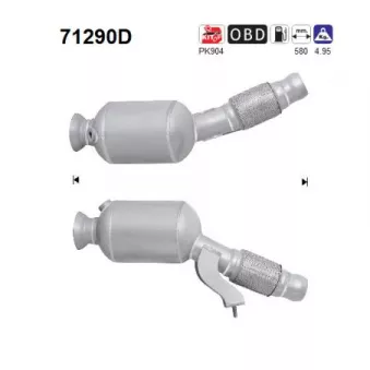 Catalyseur AS 71290D