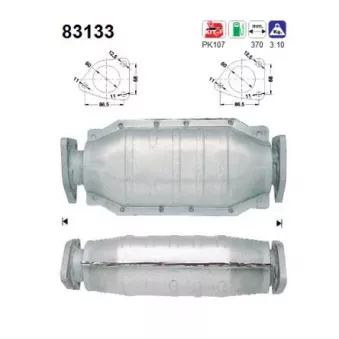 Catalyseur AS 83133