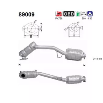 Catalyseur AS 89009