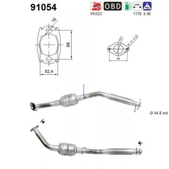 Catalyseur AS 91054