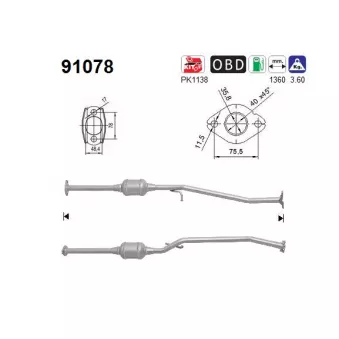 Catalyseur AS 91078