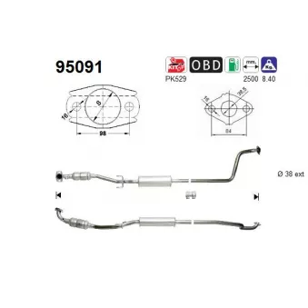 Catalyseur AS 95091