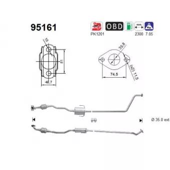 Catalyseur AS 95161