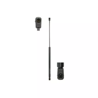 Ressort pneumatique, porte MAGNUM TECHNOLOGY MGS167