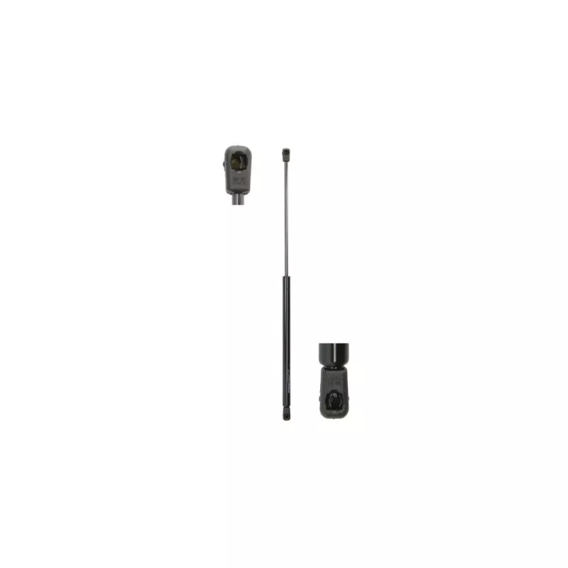 Ressort pneumatique, porte MAGNUM TECHNOLOGY MGS167
