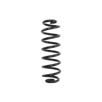 Ressort de suspension MAGNUM TECHNOLOGY