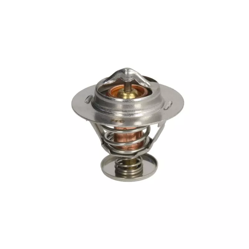 Thermostat, liqiuide de refroidissement THERMOTEC D2AG017TT