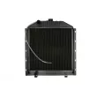 Radiateur, refroidissement du moteur THERMOTEC D7AG044TT - Visuel 1