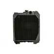Radiateur, refroidissement du moteur THERMOTEC D7AG061TT - Visuel 1