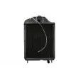 Radiateur, refroidissement du moteur THERMOTEC D7AG165TT - Visuel 1