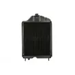 Radiateur, refroidissement du moteur THERMOTEC D7AG165TT - Visuel 2