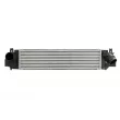 Intercooler, échangeur THERMOTEC DAB028TT - Visuel 1