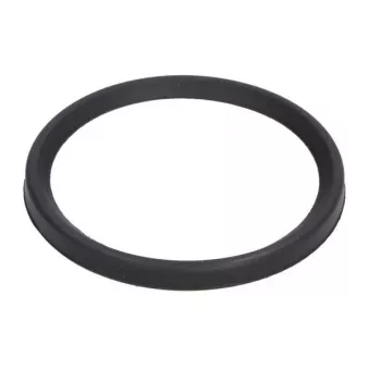 Bague d'étanchéité, gaine de suralimentation THERMOTEC DCC079TT