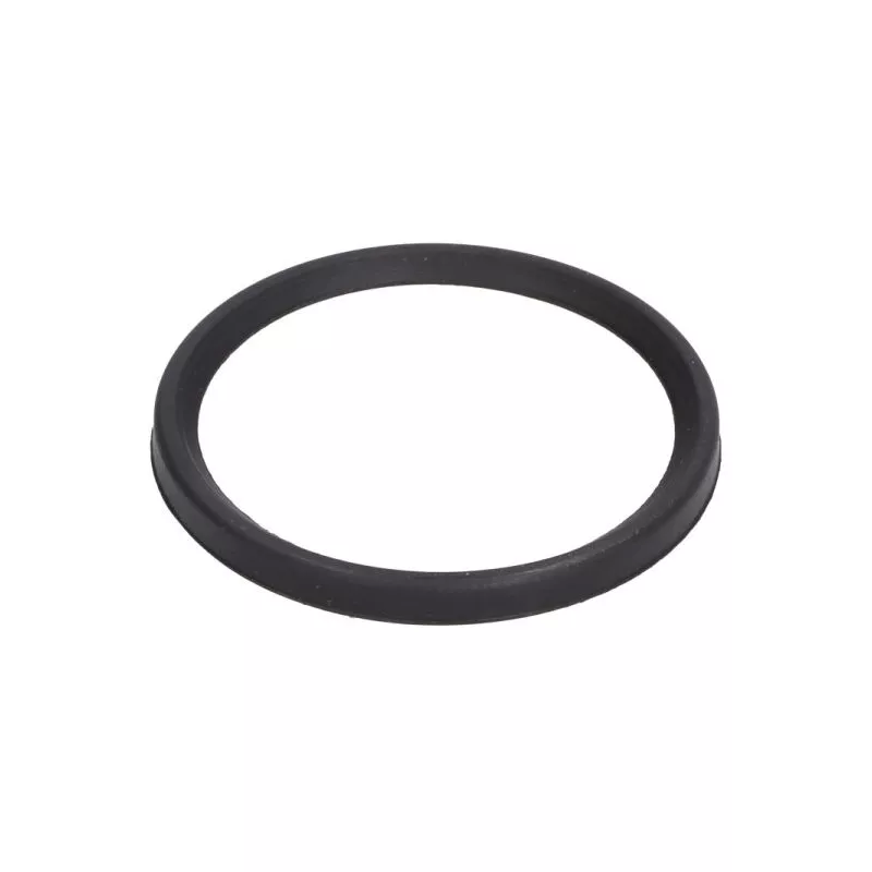 Bague d'étanchéité, gaine de suralimentation THERMOTEC DCC079TT