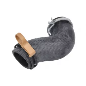Durite de radiateur THERMOTEC DWI053TT