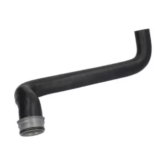 Durite de radiateur THERMOTEC DWM034TT