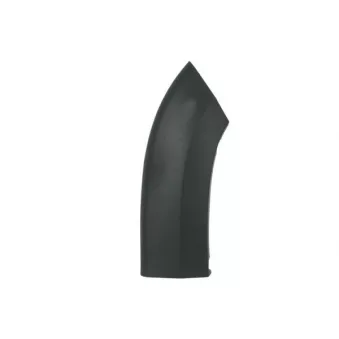 Baguette et bande protectrice, aile avant droit BLIC 5703-04-2098472BP