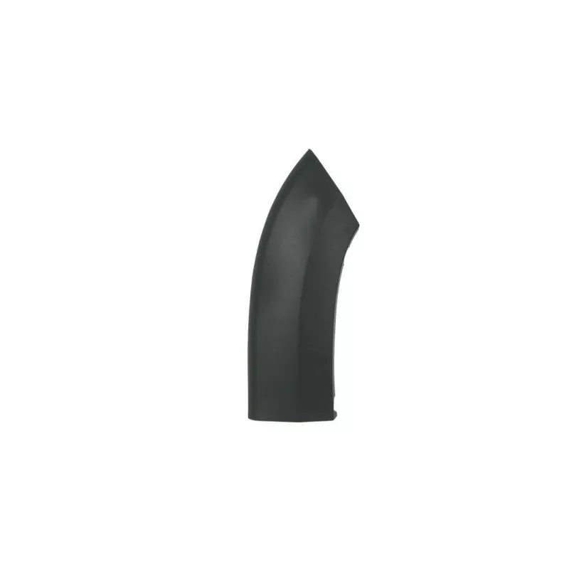 Baguette et bande protectrice, aile avant droit BLIC 5703-04-2098472BP