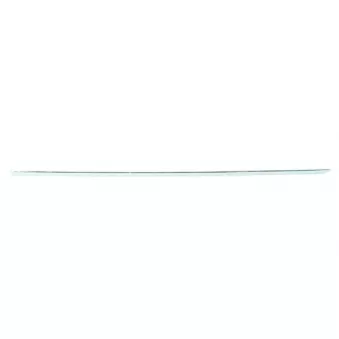 Baguette et bande protectrice, porte arrière droit BLIC 5703-04-3529574P