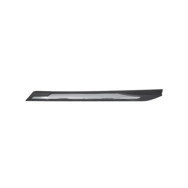 Baguette et bande protectrice, aile avant droit BLIC 5703-04-5547424P