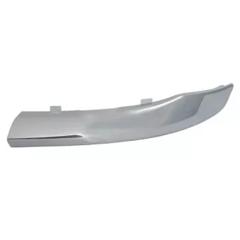 Baguette et bande protectrice, pare-chocs avant gauche BLIC 5703-05-0926927LP