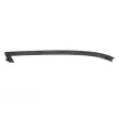 Baguette et bande protectrice, pare-chocs avant gauche BLIC 5703-05-3221921P - Visuel 2