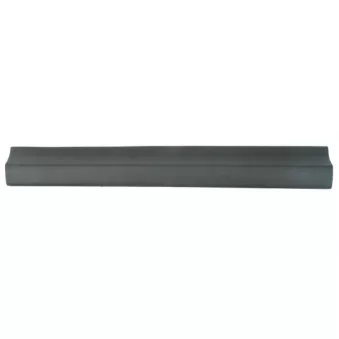 Baguette et bande protectrice, porte avant gauche BLIC 5703-06-8178575P