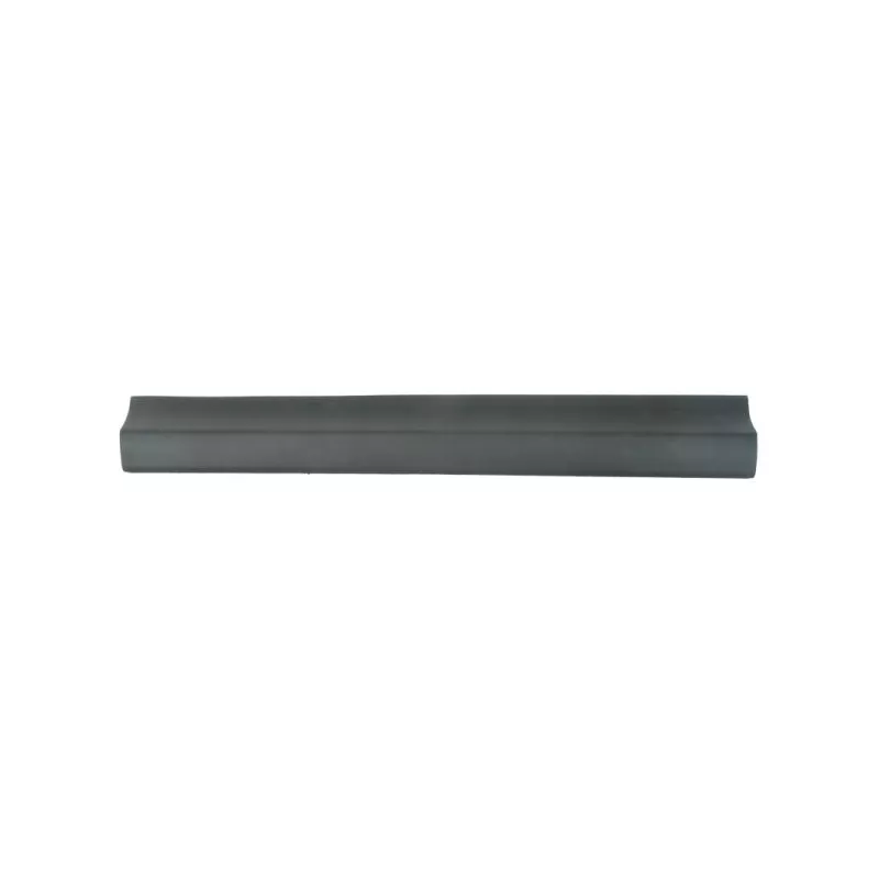 Baguette et bande protectrice, porte avant gauche BLIC 5703-06-8178575P