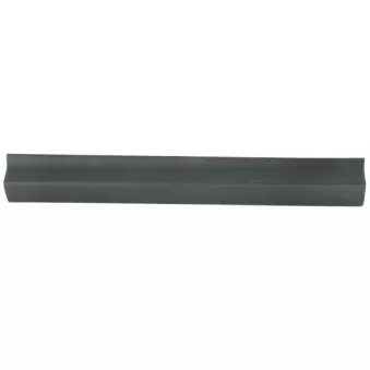 Baguette et bande protectrice, porte avant droit BLIC 5703-06-8178576P