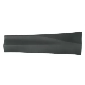 Baguette et bande protectrice, porte avant gauche BLIC 5703-06-8178577P