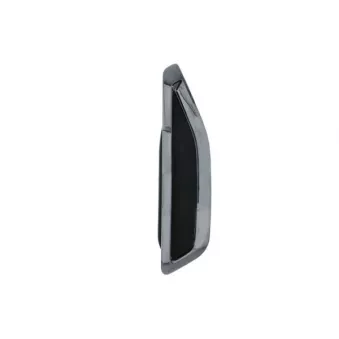 Baguette et bande protectrice, aile avant droit BLIC 5703-08-0098374P