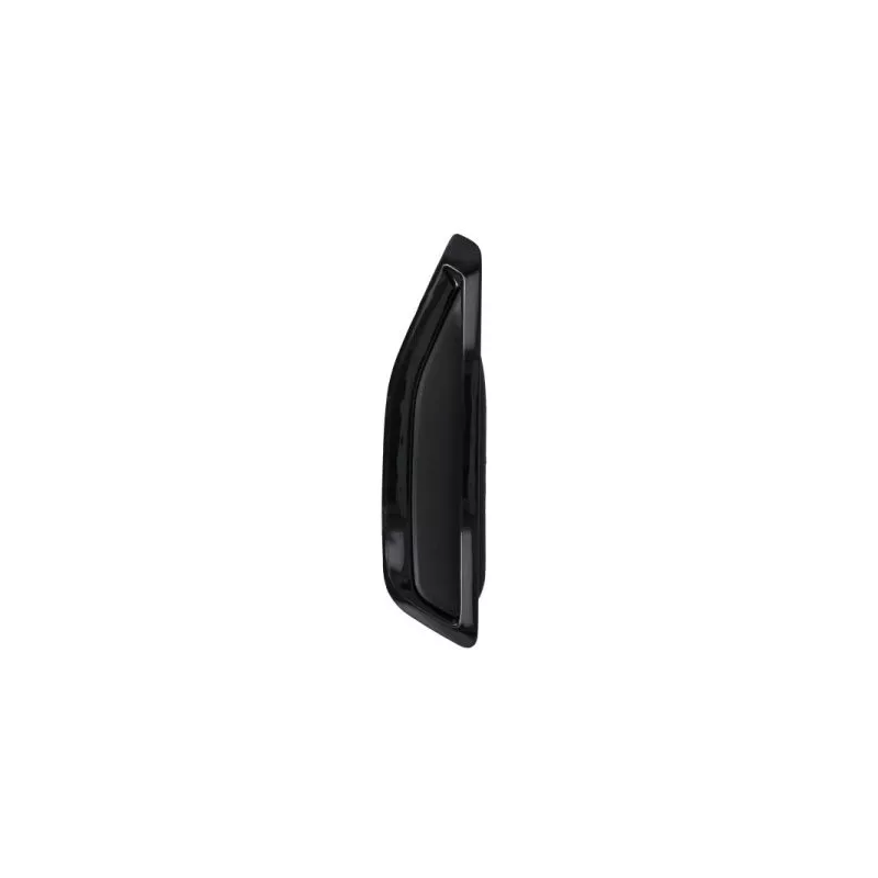 Baguette et bande protectrice, aile avant gauche BLIC 5703-08-0098375P