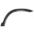 Baguette et bande protectrice, aile avant gauche BLIC 5703-08-2956371P - Visuel 2