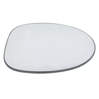 Verre de rétroviseur, rétroviseur extérieur BLIC 6102-02-1221117P