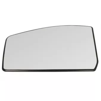 Verre de rétroviseur, rétroviseur extérieur BLIC 6102-03-2002834P