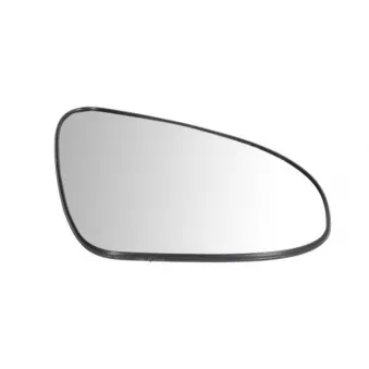Verre de rétroviseur, rétroviseur extérieur BLIC 6102-19-2002550P