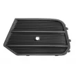 Grille de ventilation, pare-chocs avant gauche BLIC 6502-07-0034913P - Visuel 1