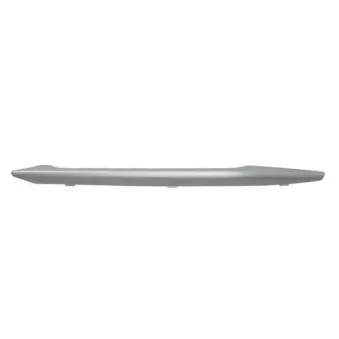 Baguette et bande protectrice, pare-chocs BLIC 6502-07-0062927P