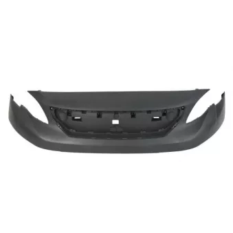 Grille de radiateur BLIC 6502-07-0562990P