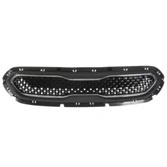 Grille de radiateur BLIC 6502-07-1618990P