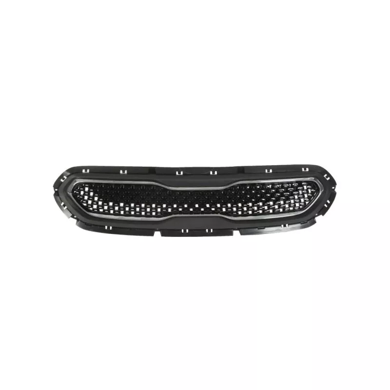 Grille de radiateur BLIC 6502-07-1618990P