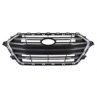 Grille de radiateur BLIC 6502-07-3172991P