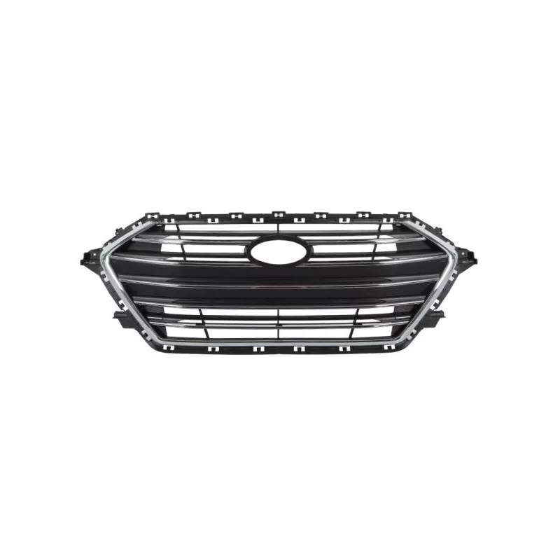 Grille de radiateur BLIC 6502-07-3172991P