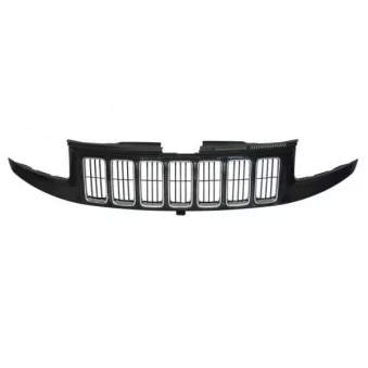 Grille de radiateur BLIC 6502-07-3206998GP